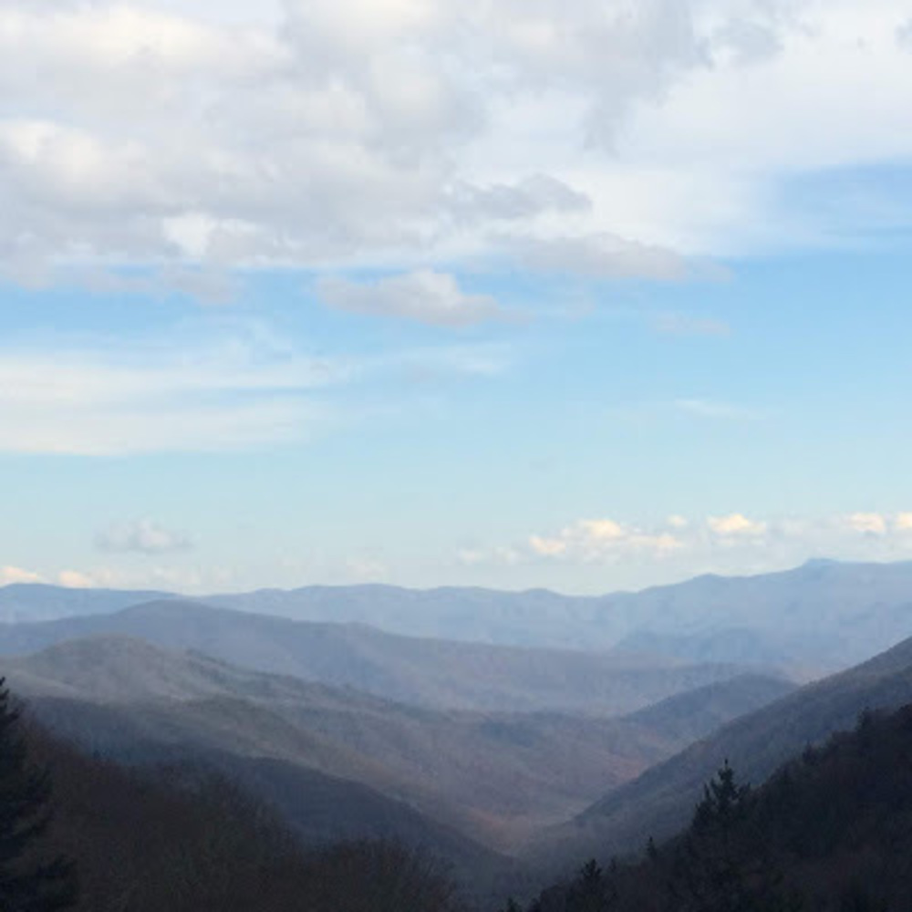 Meet your Posher, Cali